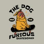 Dog skateboard funny